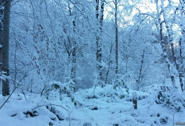 Шамахинская астрофизическая обсерватория о наступлении весны в Азербайджане
