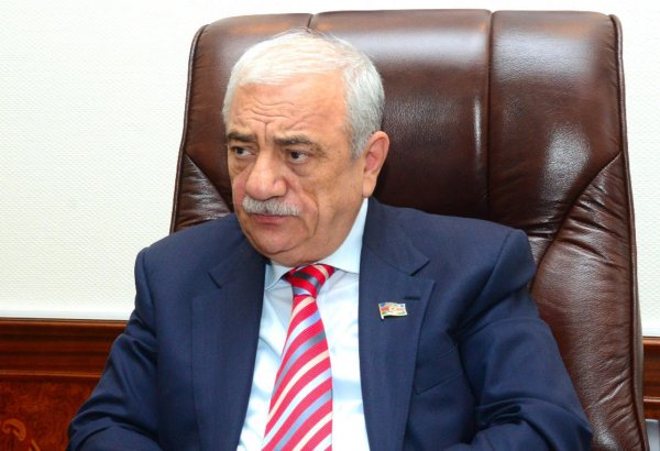 Радикалы в Азербайджане стремятся очернить работу Президента Ильхама Алиева - депутат