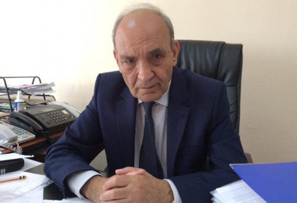 Неуместное использование иностранных слов в азербайджанском языке является одной из основных проблем - академик