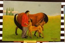 Азербайджанские Кентавры – вне традиционных визуальных явлений (ФОТО)