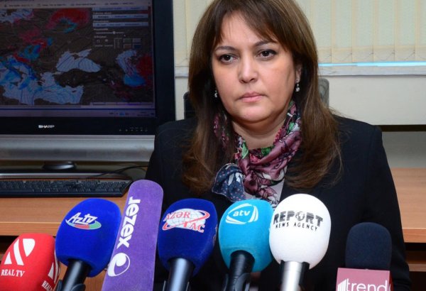 Зеленых насаждений на душу населения в Баку в 5 раз меньше нормы - Умайра Тагиева