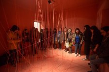 В Баку появились оригинальные инсталляции  "Перпендикулярные истины" (ФОТО)