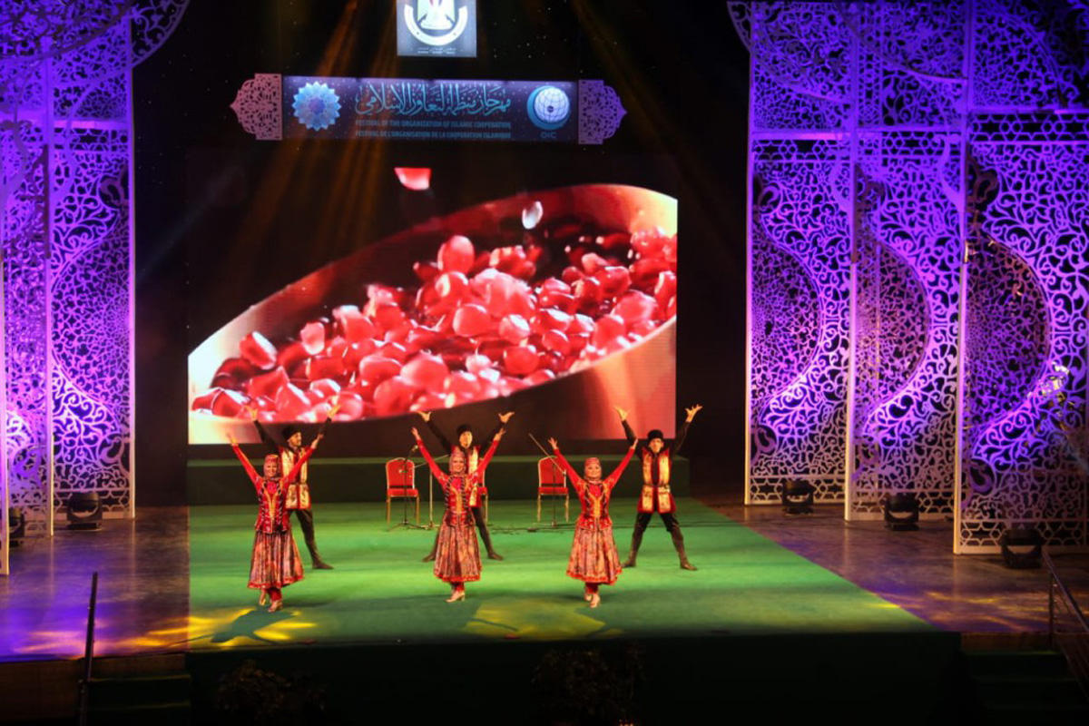 Азербайджанская культура вызвала восторг в Египте (ФОТО)