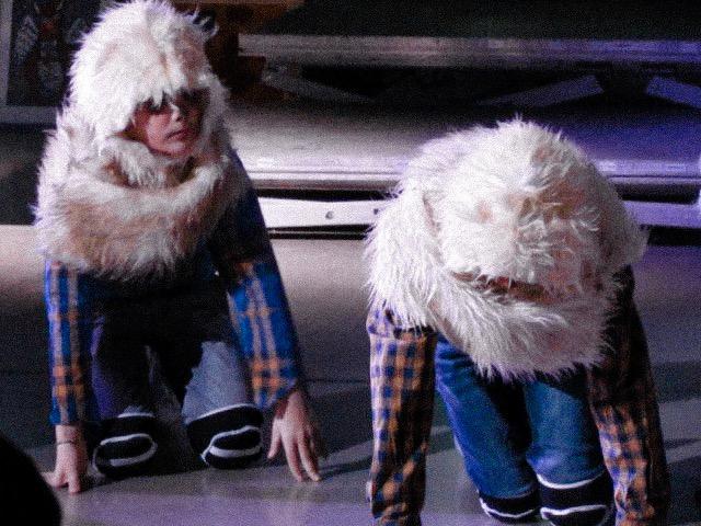 Волки и овцы, или Бакинский IstedArt (ВИДЕО, ФОТО)