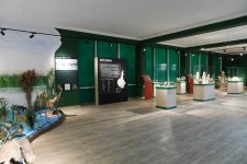 Президент Ильхам Алиев принял участие в открытии историко-краеведческого музея в Бейлагане (ФОТО)