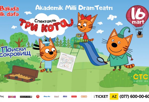 В Баку появятся самые умные и веселые коты (ВИДЕО)