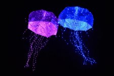 Калейдоскоп светового шоу в Баку - медузы, человечки, прикольные роботы (ФОТО)