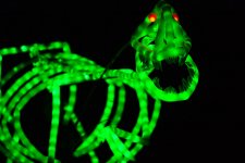 Калейдоскоп светового шоу в Баку - медузы, человечки, прикольные роботы (ФОТО)