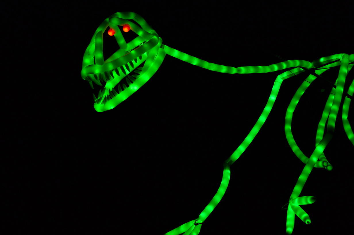 Калейдоскоп светового шоу в Баку - медузы, человечки, прикольные роботы (ФОТО)