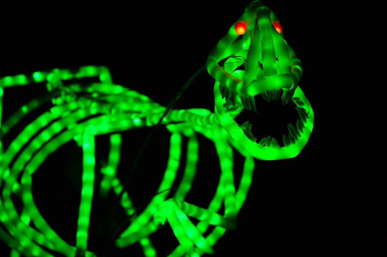 Калейдоскоп светового шоу в Баку - медузы, человечки, прикольные роботы (ФОТО)