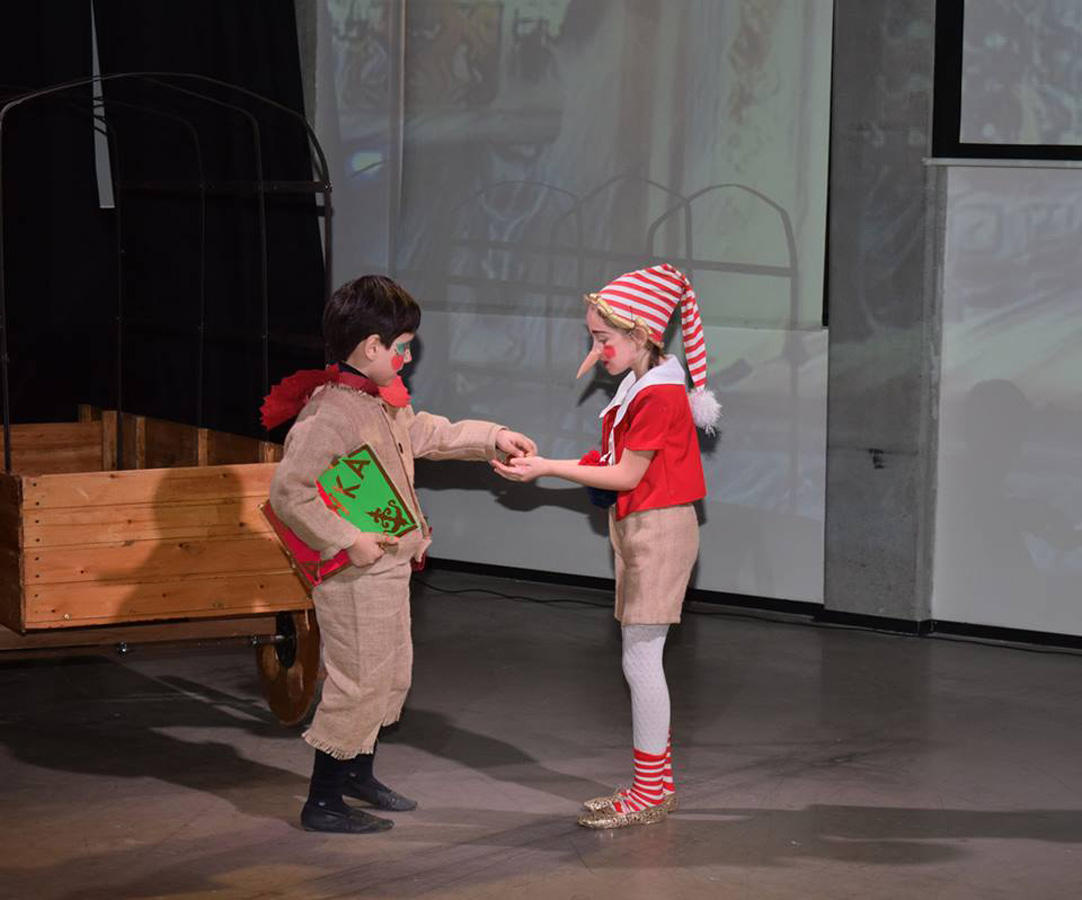 Поле чудес для азербайджанцев – вот где растут "золотые монеты" (ВИДЕО, ФОТО)