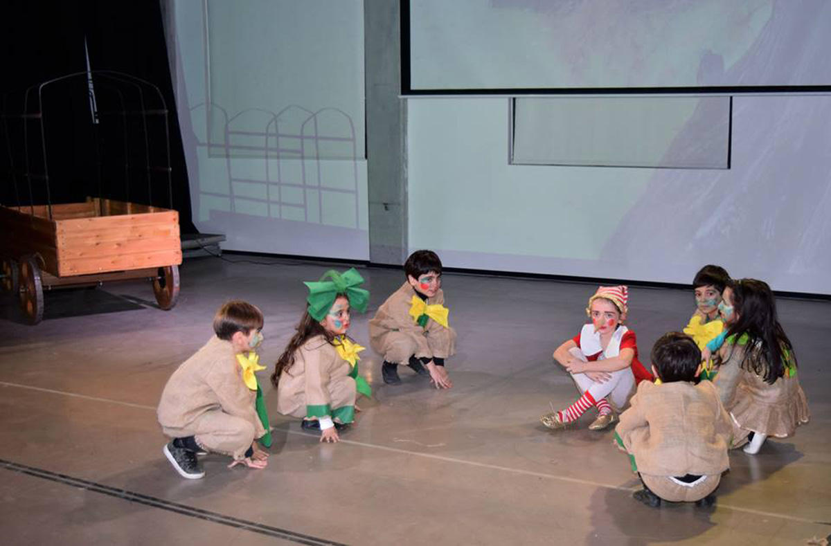 Поле чудес для азербайджанцев – вот где растут "золотые монеты" (ВИДЕО, ФОТО)