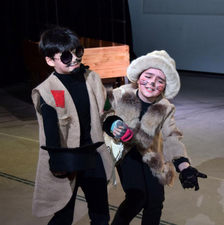 Поле чудес для азербайджанцев – вот где растут "золотые монеты" (ВИДЕО, ФОТО)