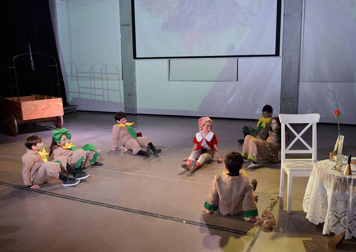 Поле чудес для азербайджанцев – вот где растут "золотые монеты" (ВИДЕО, ФОТО)