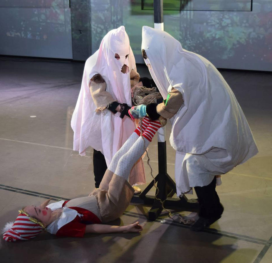 Поле чудес для азербайджанцев – вот где растут "золотые монеты" (ВИДЕО, ФОТО)