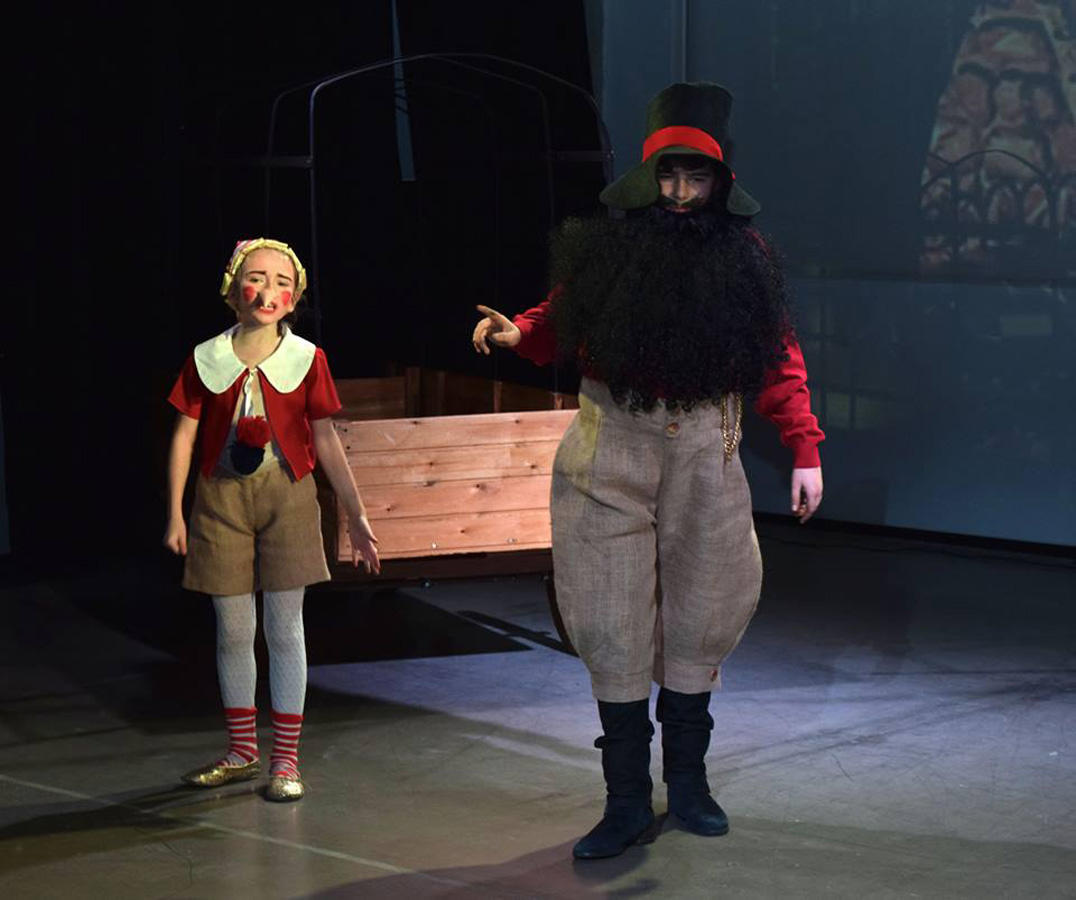 Поле чудес для азербайджанцев – вот где растут "золотые монеты" (ВИДЕО, ФОТО)