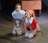 Поле чудес для азербайджанцев – вот где растут "золотые монеты" (ВИДЕО, ФОТО)