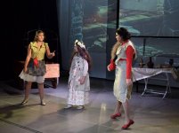 Поле чудес для азербайджанцев – вот где растут "золотые монеты" (ВИДЕО, ФОТО)