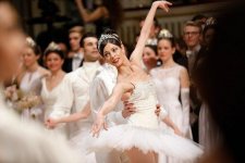 Венский оперный бал - гости и строгий этикет (ФОТО)