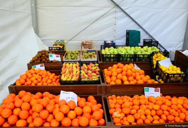 Адреса сельскохозяйственных ярмарок в Баку и на Абшероне