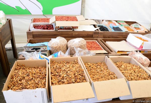 В Баку установлено 15 праздничных палаток