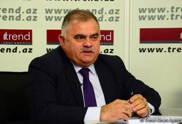 Президент в контексте истории и международного права донес до мира, что Нагорный Карабах - азербайджанская территория - Арзу Нагиев