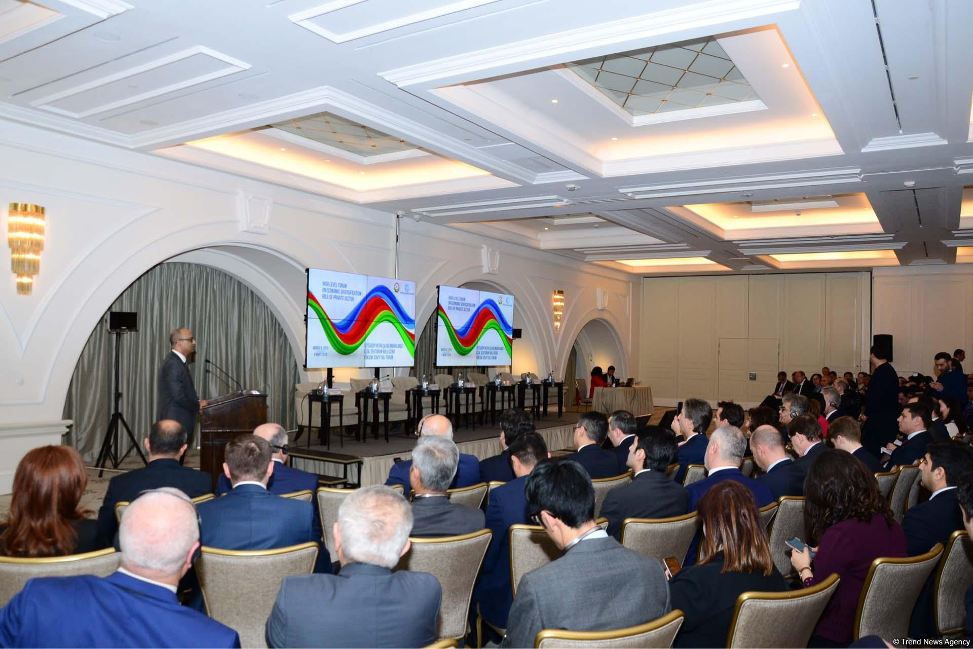 Али Ахмедов: Проведенные в Азербайджане реформы позволили выстоять перед внешними вызовами (ФОТО)