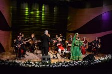 "Sarı Gəlin" и "Bayram  axşamları": австрийский музыкант выступил с концертом в Баку (ФОТО)