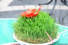 Баку встречает Новруз (ФОТОСЕССИЯ)