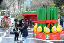 Баку встречает Новруз (ФОТОСЕССИЯ)