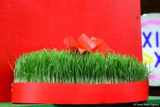 Баку встречает Новруз (ФОТОСЕССИЯ)