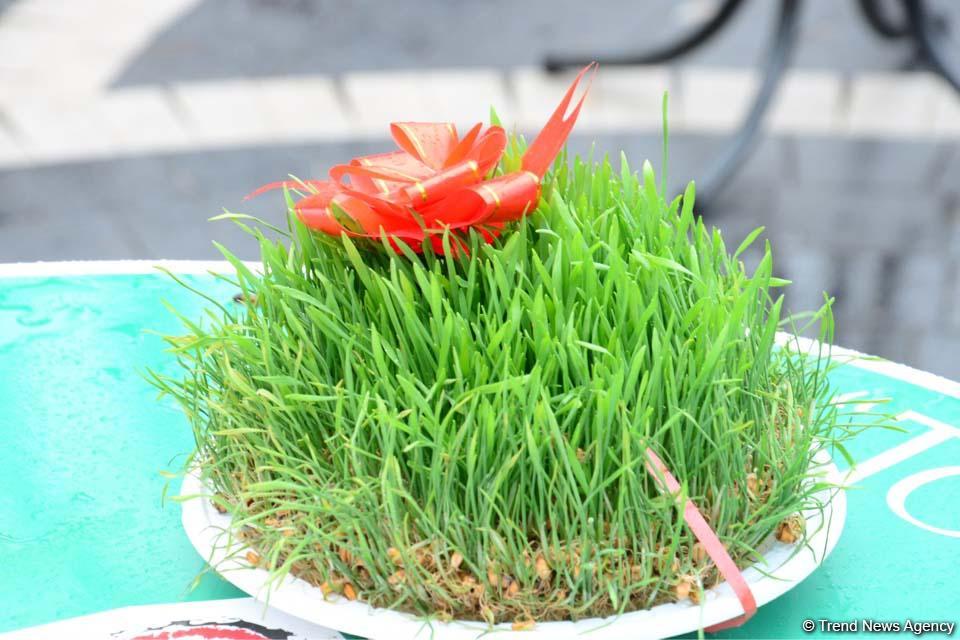 Баку встречает Новруз (ФОТОСЕССИЯ)