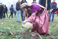 В Азербайджане пробудились стихии и произошло обновление природы (ФОТО)