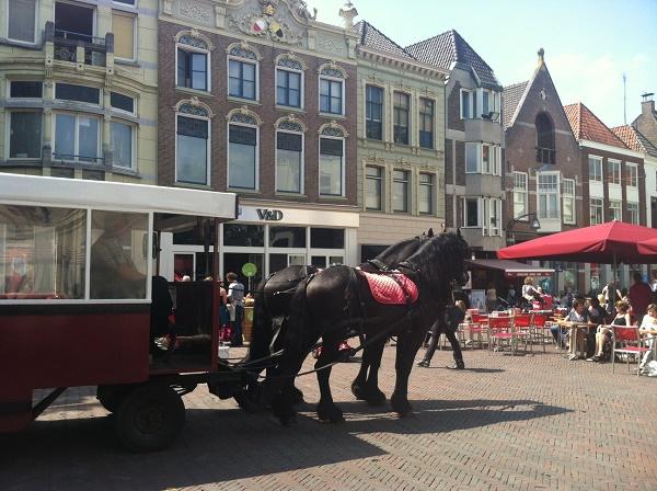 Телеведущая Хатира Абдуллазаде: Чем больше живешь в Голландии, тем больше скучаешь по Шуше (ФОТО)