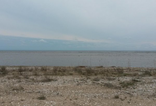 Германский банк развития: Важно создание экотуристических центров у входа в нацпарки