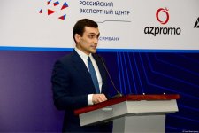 Российские инвестиции в Азербайджан превысили $4 млрд - министр (ФОТО)