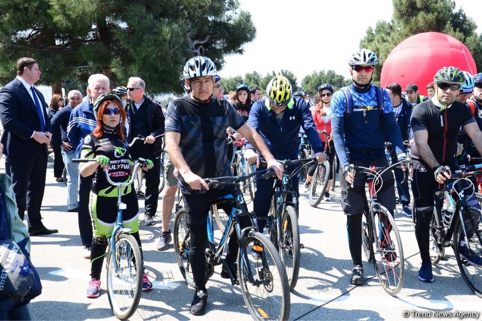 В Баку прошел велопробег под девизом «Меньше машин, больше жизни» (ФОТО)