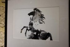 Азербайджанский фотограф в поиске свободы во Франции (ФОТО)