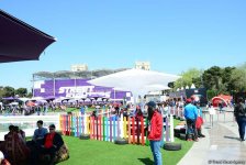 Зрители Гран При Формулы 1 SOCAR Азербайджан совмещают полезное с приятным (ФОТО)