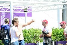 Зрители Гран При Формулы 1 SOCAR Азербайджан совмещают полезное с приятным (ФОТО)