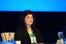 В рамках Всемирного форума в Баку проходит встреча международных организаций высокого уровня (ФОТО)
