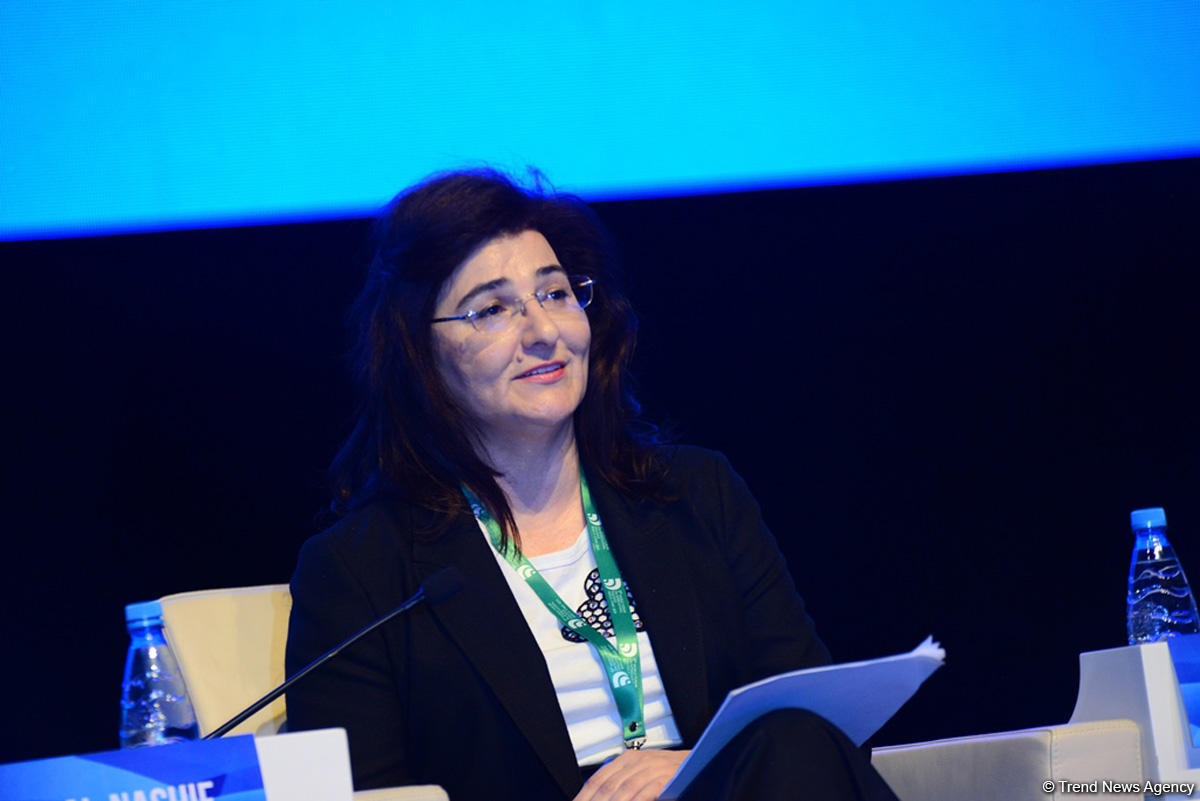 В рамках Всемирного форума в Баку проходит встреча международных организаций высокого уровня (ФОТО)