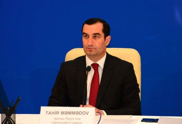 В Шамахинском районе не зарегистрирована школа, находящаяся в аварийном состоянии – глава ИВ