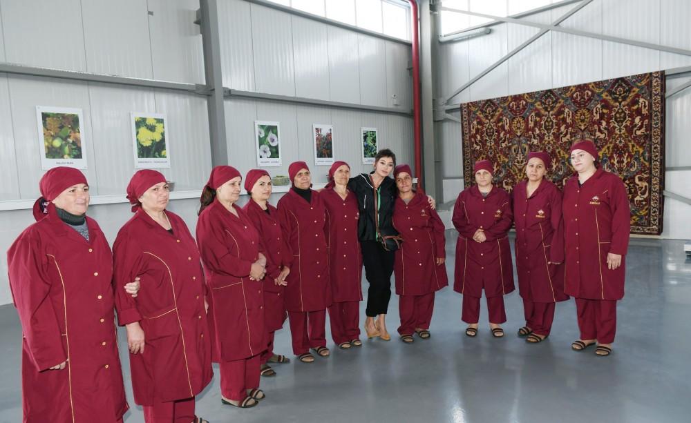 Президент Ильхам Алиев и Первая леди Мехрибан Алиева приняли участие в открытии Гобустанского филиала ОАО «Азерхалча» (ФОТО) (версия 2)