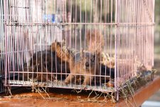 В Баку реализуется проект «Городская экология» Общественного объединения IDEA (ФОТО)