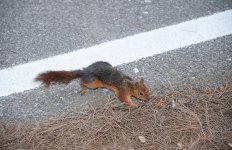 В Баку реализуется проект «Городская экология» Общественного объединения IDEA (ФОТО)
