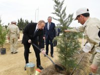 Президент Ильхам Алиев и Первая леди Мехрибан Алиева приняли участие в кампании по посадке деревьев, посвященной дню рождения великого лидера Гейдара Алиева (ФОТО) (версия 2)