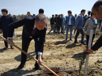 ПЕА и минэкологии Азербайджана провели акцию по посадке деревьев, приуроченную к 96-й годовщине со дня рождения Гейдара Алиева (ФОТО)