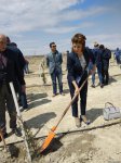 ПЕА и минэкологии Азербайджана провели акцию по посадке деревьев, приуроченную к 96-й годовщине со дня рождения Гейдара Алиева (ФОТО)