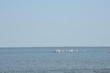 В Баку проходит регата парусных яхт, посвященная 96-й годовщине со дня рождения великого лидера Гейдара Алиева (ФОТОРЕПОРТАЖ)